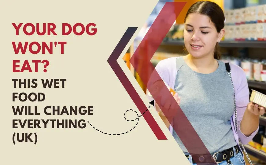 We pick 6 Best Wet Dog Food for Fussy Eaters UK